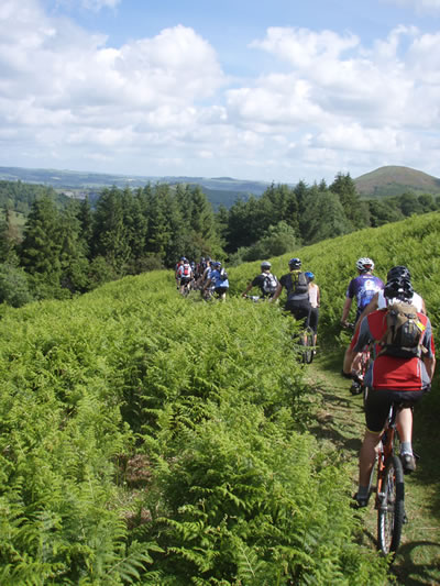 Descending from the ridge into the woods just before the first water stop